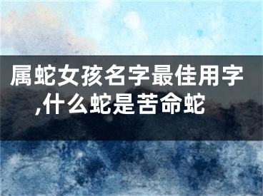 属蛇女孩名字最佳用字,什么蛇是苦命蛇