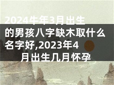 2024牛年3月出生的男孩八字缺木取什么名字好,2023年4月出生几月怀孕