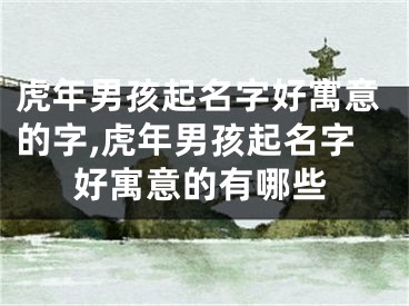 虎年男孩起名字好寓意的字,虎年男孩起名字好寓意的有哪些