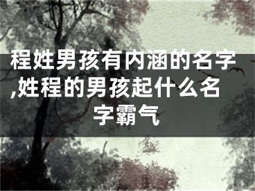 程姓男孩有内涵的名字,姓程的男孩起什么名字霸气