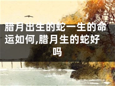 腊月出生的蛇一生的命运如何,腊月生的蛇好吗