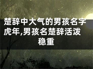 楚辞中大气的男孩名字虎年,男孩名楚辞活泼稳重
