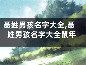 聂姓男孩名字大全,聂姓男孩名字大全鼠年