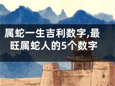 属蛇一生吉利数字,最旺属蛇人的5个数字