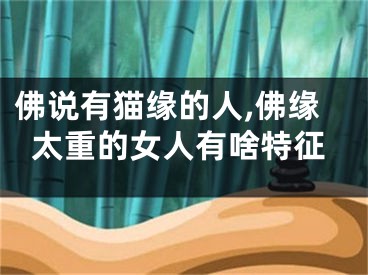 佛说有猫缘的人,佛缘太重的女人有啥特征