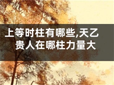 上等时柱有哪些,天乙贵人在哪柱力量大