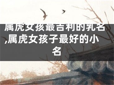 属虎女孩最吉利的乳名,属虎女孩子最好的小名
