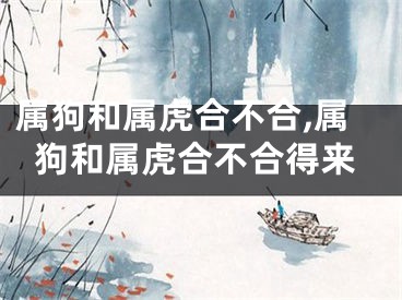 属狗和属虎合不合,属狗和属虎合不合得来