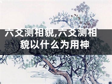 六爻测相貌,六爻测相貌以什么为用神