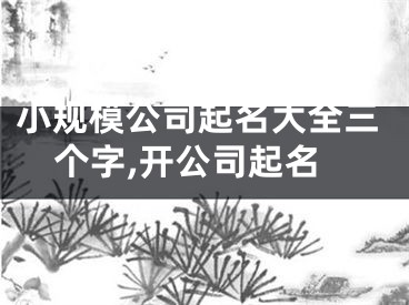小规模公司起名大全三个字,开公司起名