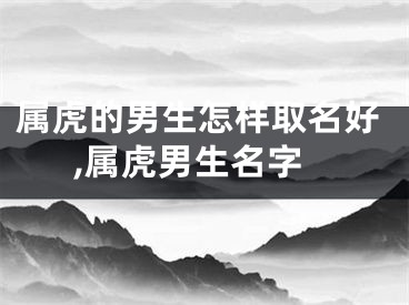 属虎的男生怎样取名好,属虎男生名字