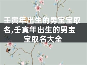 壬寅年出生的男宝宝取名,壬寅年出生的男宝宝取名大全