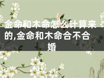 金命和木命怎么计算来的,金命和木命合不合婚