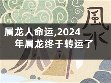 属龙人命运,2024年属龙终于转运了