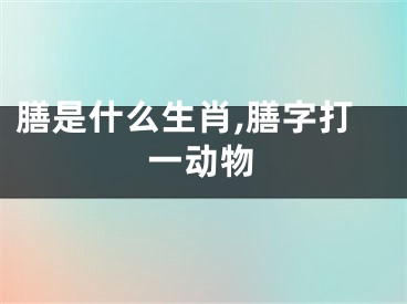 膳是什么生肖,膳字打一动物