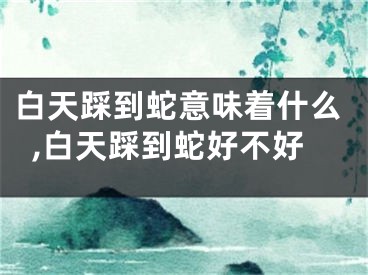 白天踩到蛇意味着什么,白天踩到蛇好不好