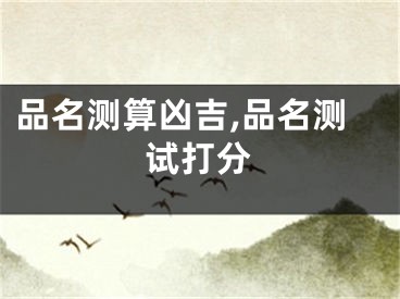 品名测算凶吉,品名测试打分