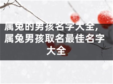 属兔的男孩名字大全,属兔男孩取名最佳名字大全
