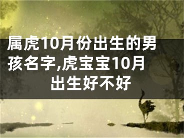 属虎10月份出生的男孩名字,虎宝宝10月出生好不好