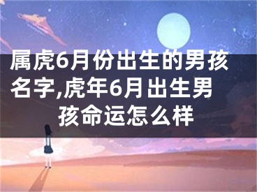 属虎6月份出生的男孩名字,虎年6月出生男孩命运怎么样