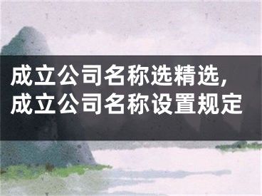 成立公司名称选精选,成立公司名称设置规定
