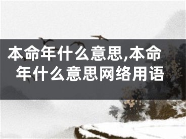 本命年什么意思,本命年什么意思网络用语