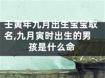 壬寅年九月出生宝宝取名,九月寅时出生的男孩是什么命