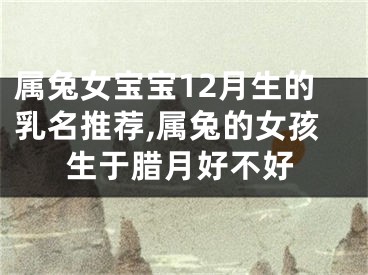 属兔女宝宝12月生的乳名推荐,属兔的女孩生于腊月好不好