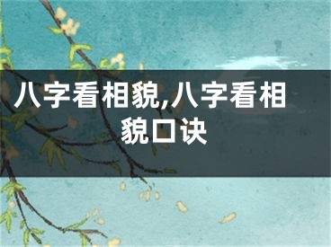 八字看相貌,八字看相貌口诀