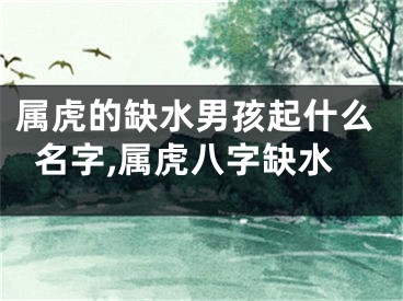 属虎的缺水男孩起什么名字,属虎八字缺水