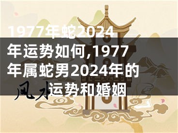 1977年蛇2024年运势如何,1977年属蛇男2024年的运势和婚姻