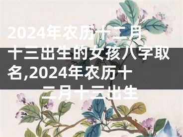 2024年农历十二月十三出生的女孩八字取名,2024年农历十二月十三出生