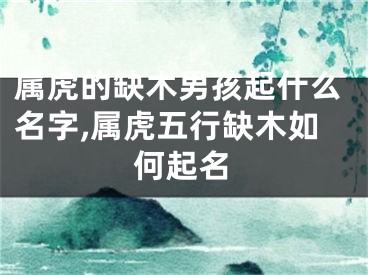 属虎的缺木男孩起什么名字,属虎五行缺木如何起名