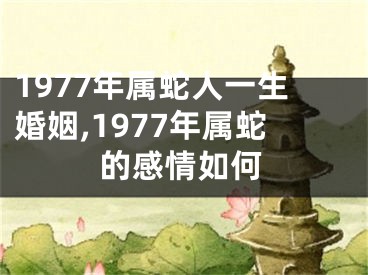 1977年属蛇人一生婚姻,1977年属蛇的感情如何