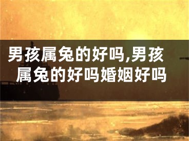 男孩属兔的好吗,男孩属兔的好吗婚姻好吗