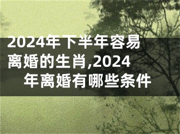 2024年下半年容易离婚的生肖,2024年离婚有哪些条件