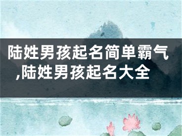 陆姓男孩起名简单霸气,陆姓男孩起名大全