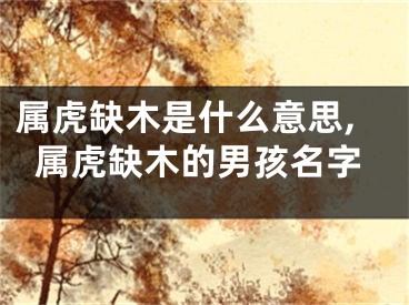 属虎缺木是什么意思,属虎缺木的男孩名字