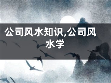 公司风水知识,公司风水学