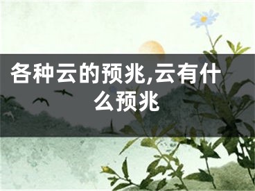各种云的预兆,云有什么预兆