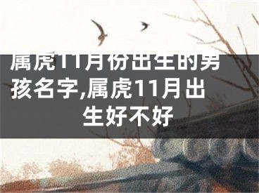 属虎11月份出生的男孩名字,属虎11月出生好不好