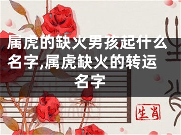 属虎的缺火男孩起什么名字,属虎缺火的转运名字