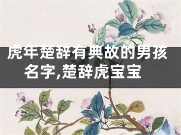 虎年楚辞有典故的男孩名字,楚辞虎宝宝