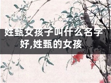 姓甄女孩子叫什么名字好,姓甄的女孩