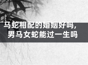 马蛇相配的婚姻好吗,男马女蛇能过一生吗
