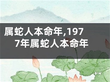 属蛇人本命年,1977年属蛇人本命年
