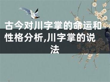 古今对川字掌的命运和性格分析,川字掌的说法