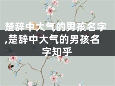 楚辞中大气的男孩名字,楚辞中大气的男孩名字知乎