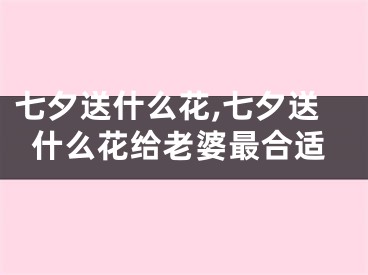 七夕送什么花,七夕送什么花给老婆最合适