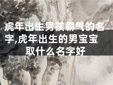 虎年出生男孩霸气的名字,虎年出生的男宝宝取什么名字好